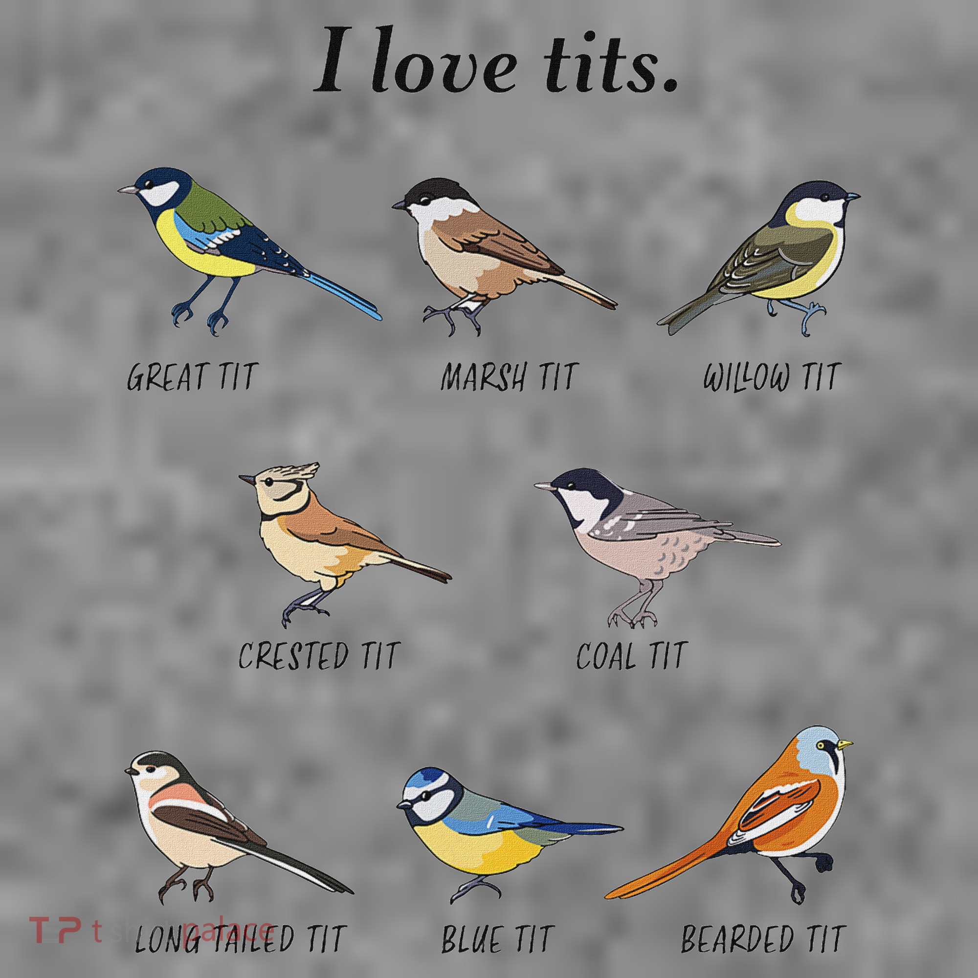 I Love Tits Birdwatching Bird Lover Gift Toddler Hoodie