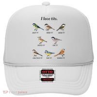 I Love Tits Birdwatching Bird Lover Gift Hat thumb 0