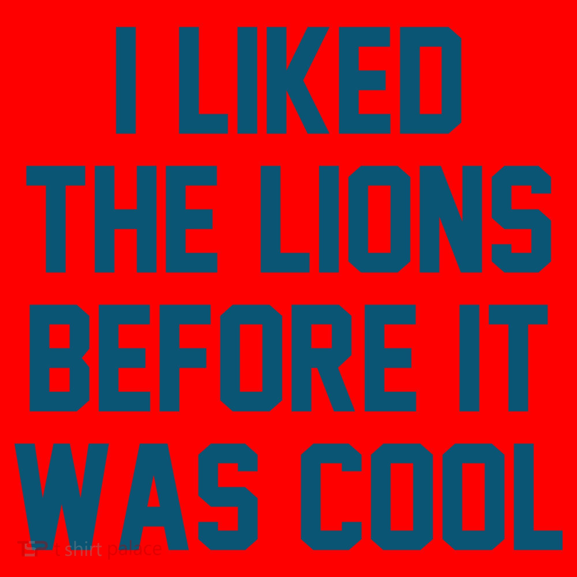 I Liked The Lions Before It Was Cool Funny Football Santa Hat