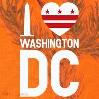 I Love Washington Dc Kati Licensed 12" Camo Cuffed Beanie thumb 2
