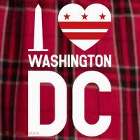 I Love Washington Dc Women's Flannel Plaid Pajama Pants thumb 2