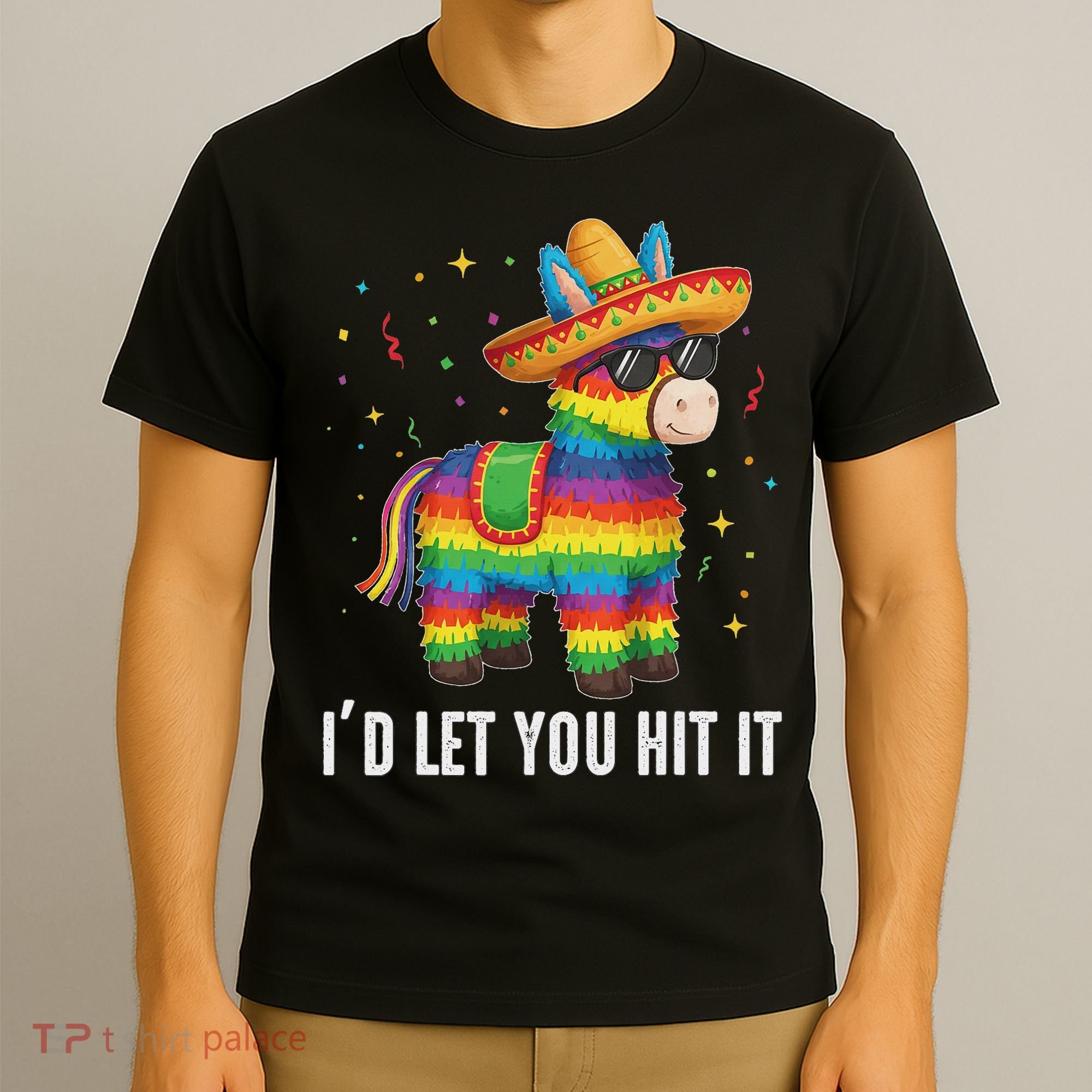 I'd Let You Hit It Funny Piñata Sombrero Rainbow Fiesta T-Shirt