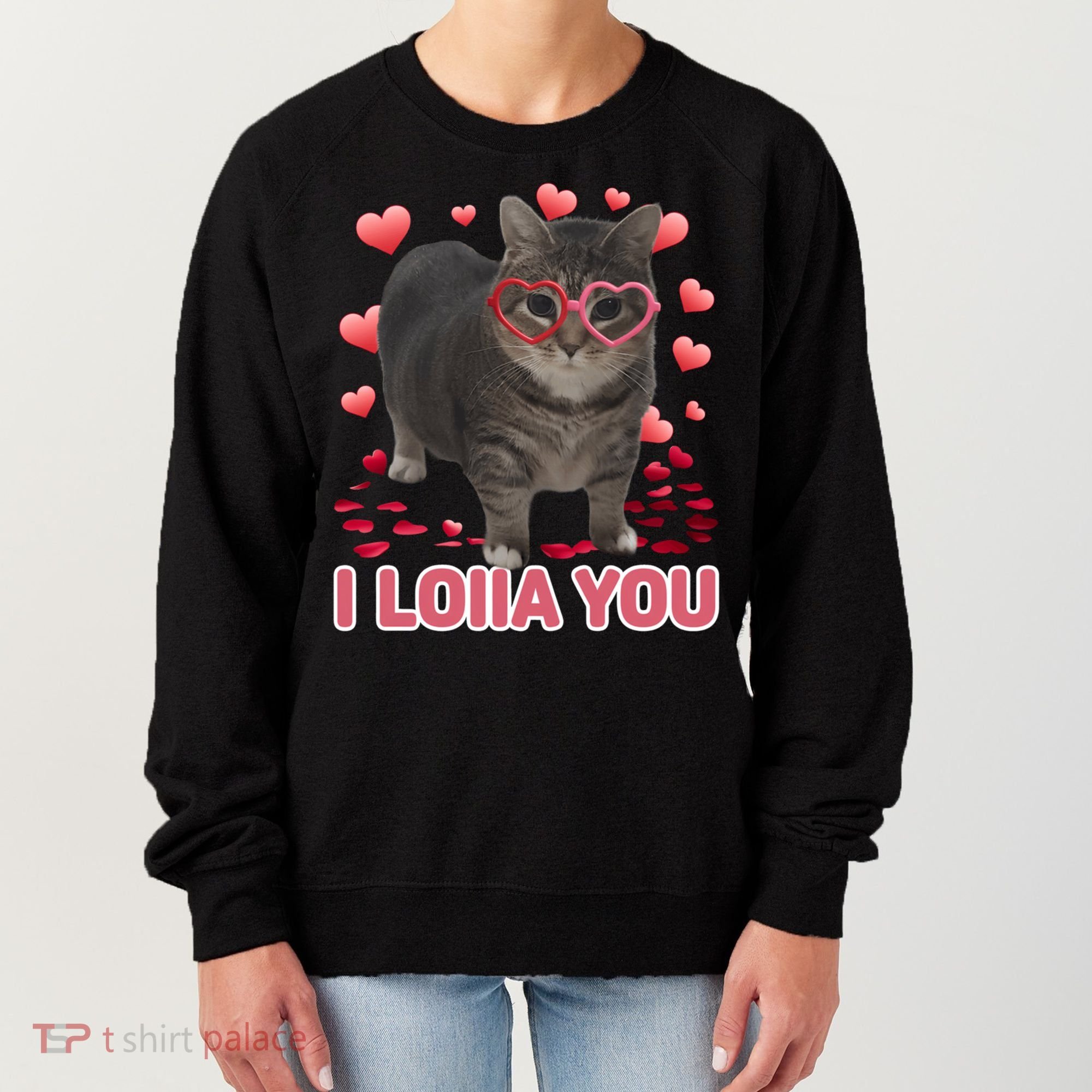 I Love You Oiia Cat Funny Spinning Cat Valentines Day Gift Women's Sweatshirt