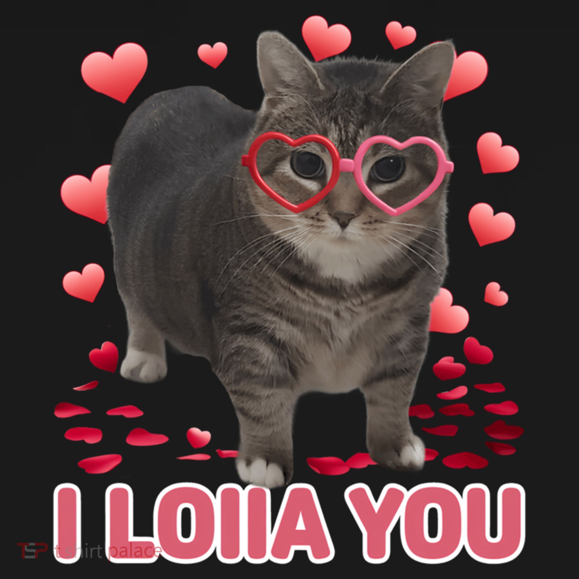I Love You Oiia Cat Funny Spinning Cat Valentines Day Gift Ornament