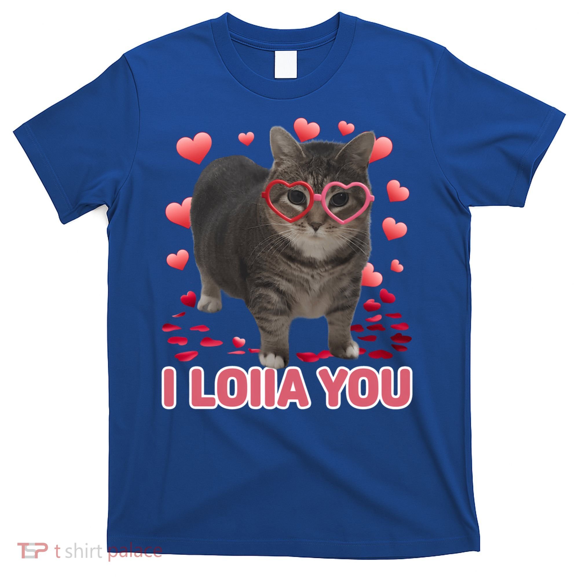 I Love You Oiia Cat Funny Spinning Cat Valentines Day Gift T-Shirt