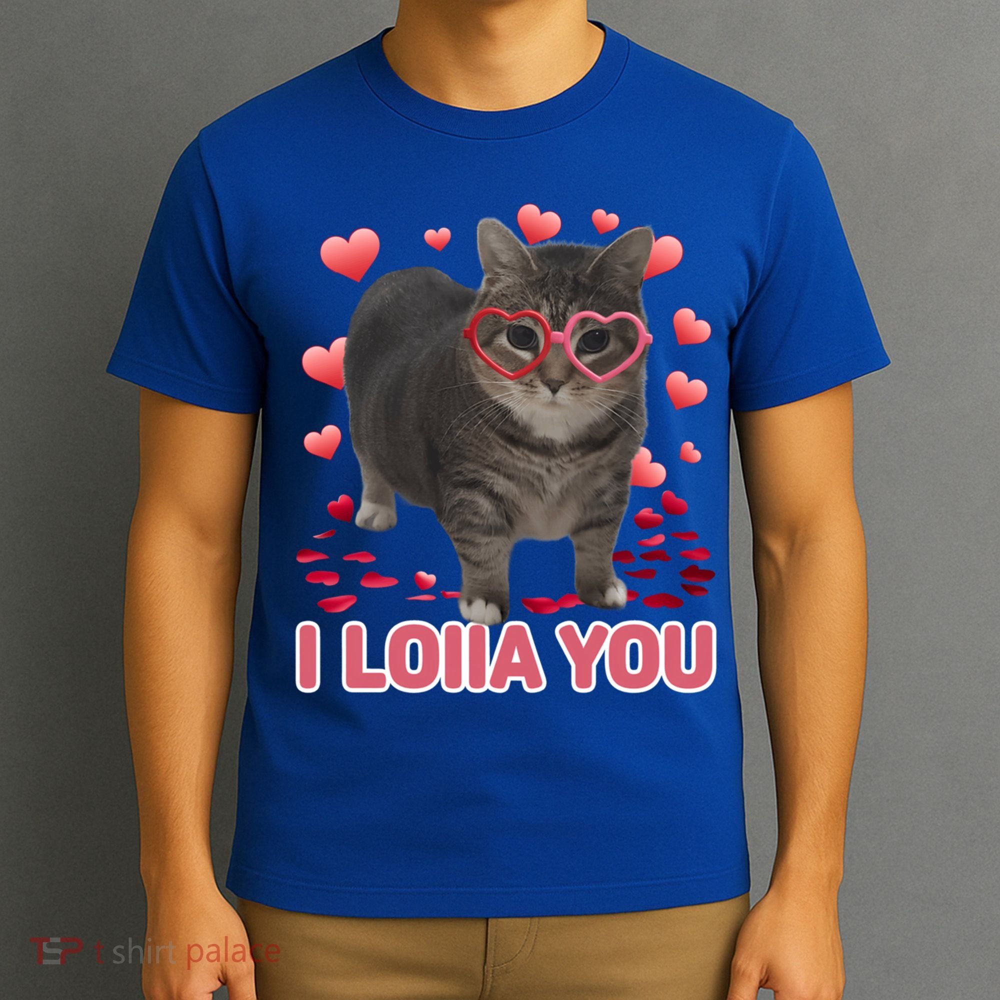 I Love You Oiia Cat Funny Spinning Cat Valentines Day Gift T-Shirt
