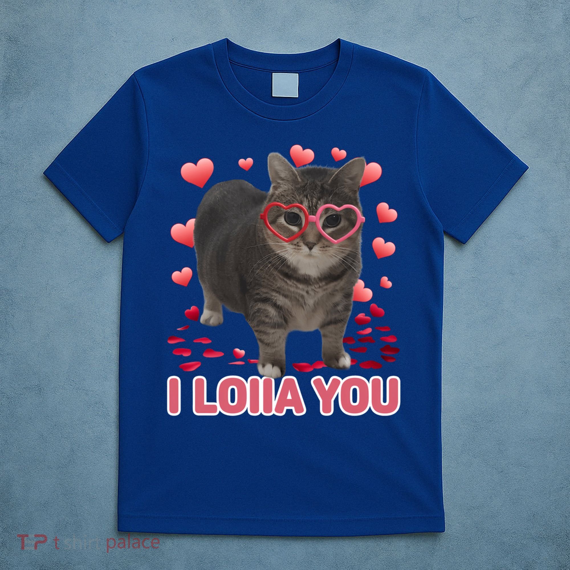 I Love You Oiia Cat Funny Spinning Cat Valentines Day Gift T-Shirt