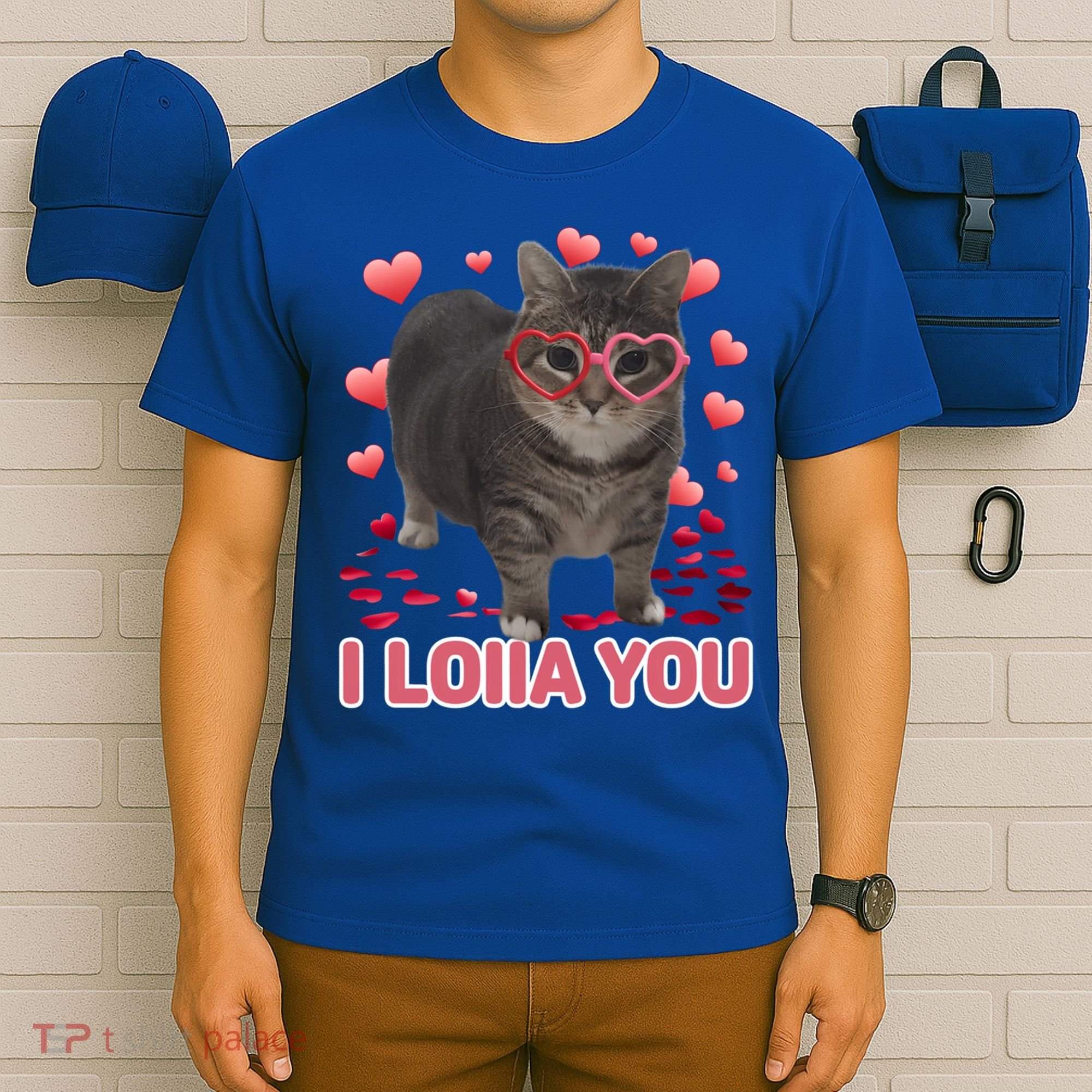 I Love You Oiia Cat Funny Spinning Cat Valentines Day Gift T-Shirt