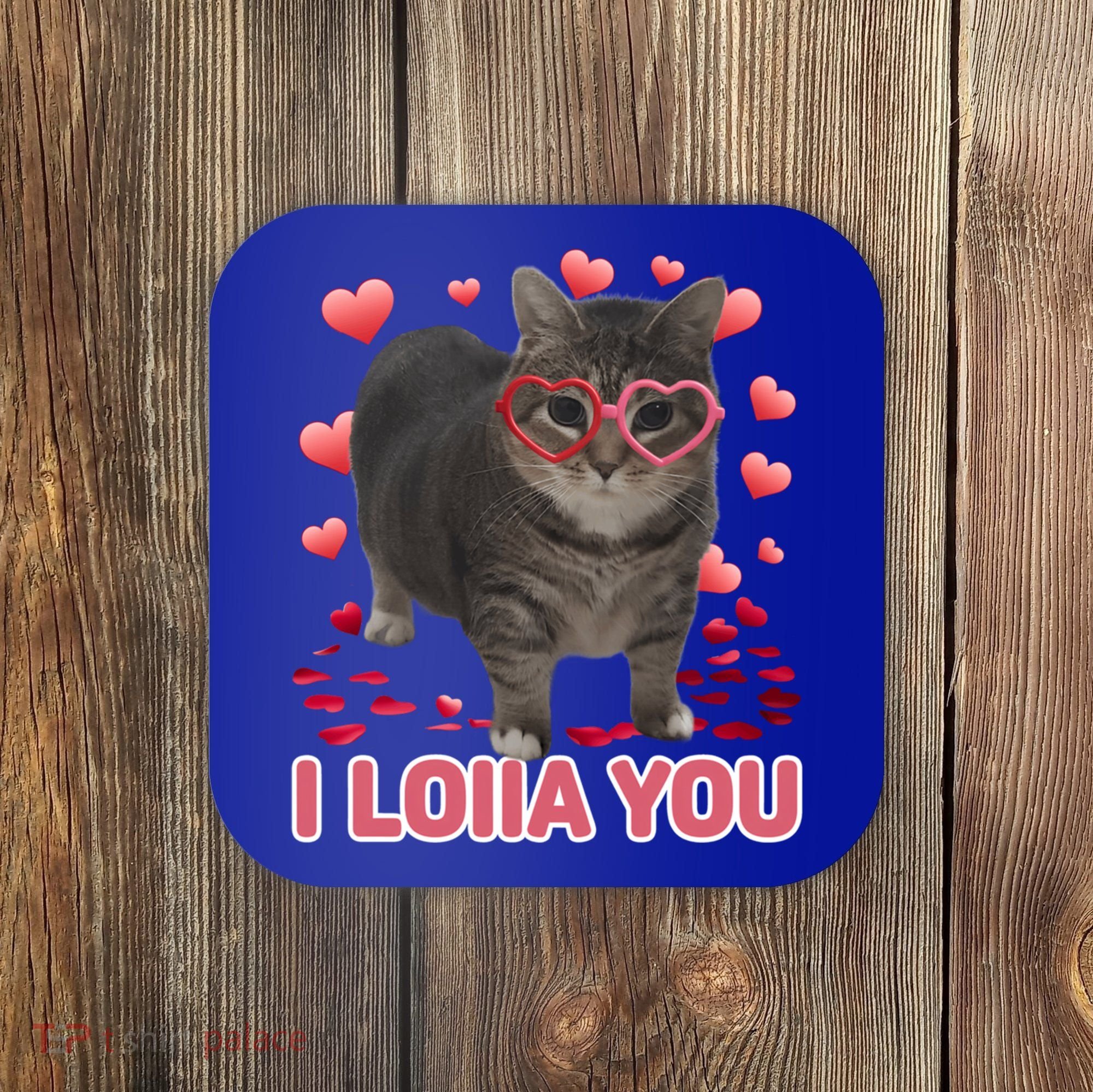 I Love You Oiia Cat Funny Spinning Cat Valentines Day Gift Coaster