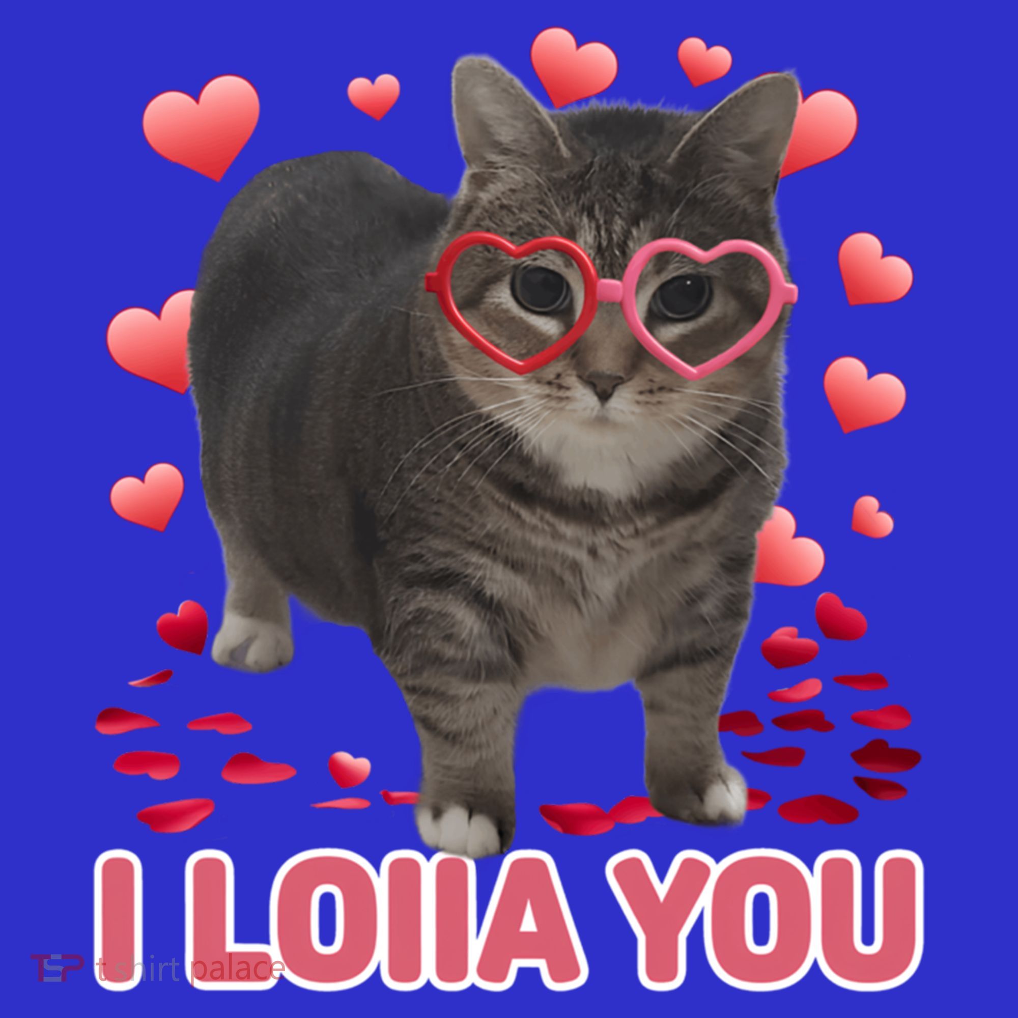 I Love You Oiia Cat Funny Spinning Cat Valentines Day Gift Women's Tank Top