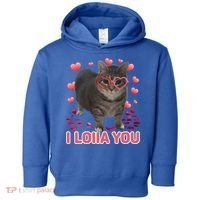I Love You Oiia Cat Funny Spinning Cat Valentines Day Gift Toddler Hoodie thumb 0
