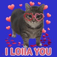I Love You Oiia Cat Funny Spinning Cat Valentines Day Gift Toddler Hoodie thumb 2