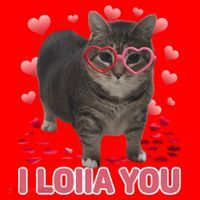 I Love You Oiia Cat Funny Spinning Cat Valentines Day Gift Santa Hat thumb 1