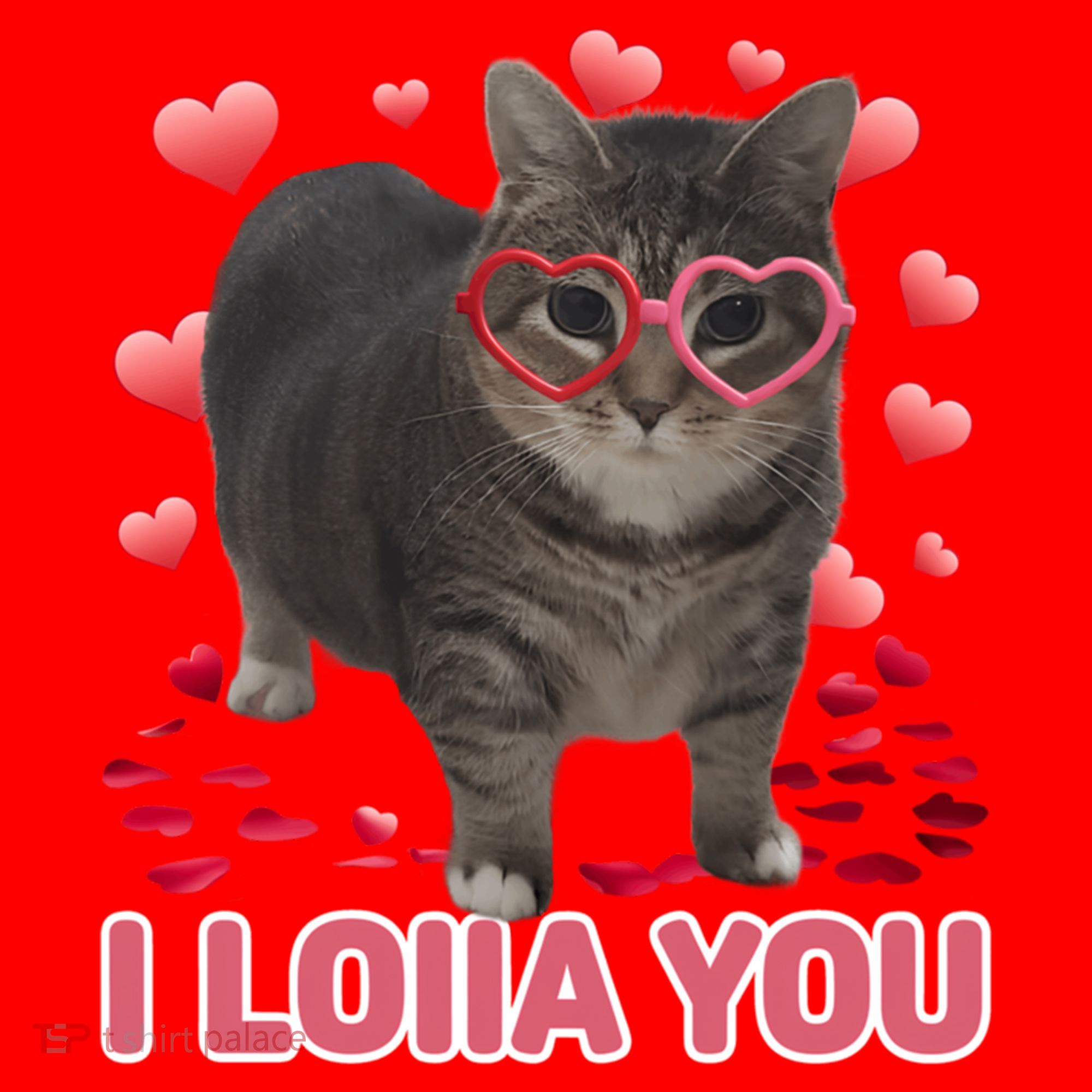 I Love You Oiia Cat Funny Spinning Cat Valentines Day Gift Santa Hat