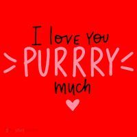I Love You Purry Much Cute Gift Santa Hat thumb 1