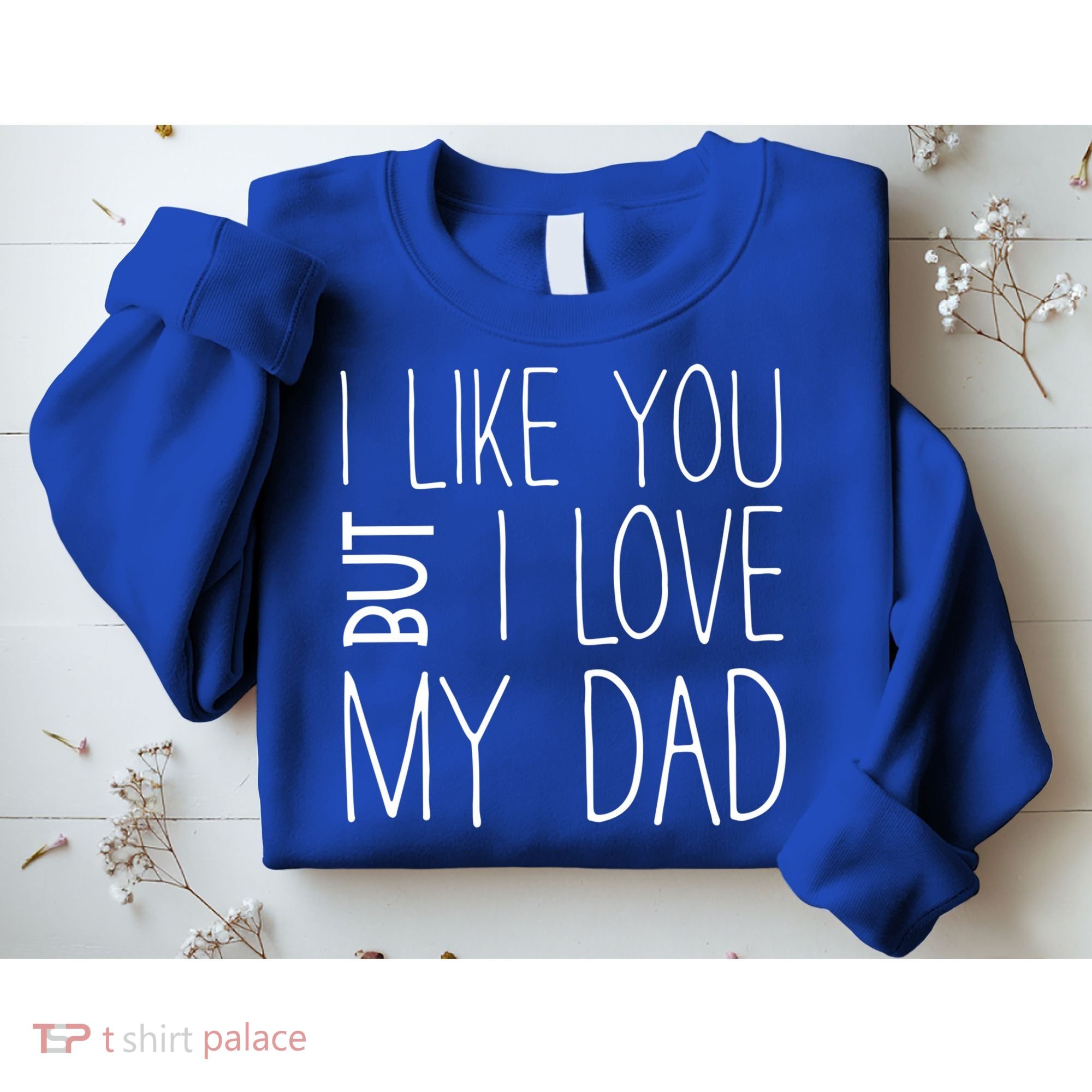 I Like You But I Love My Dad Gift Sweatshirt