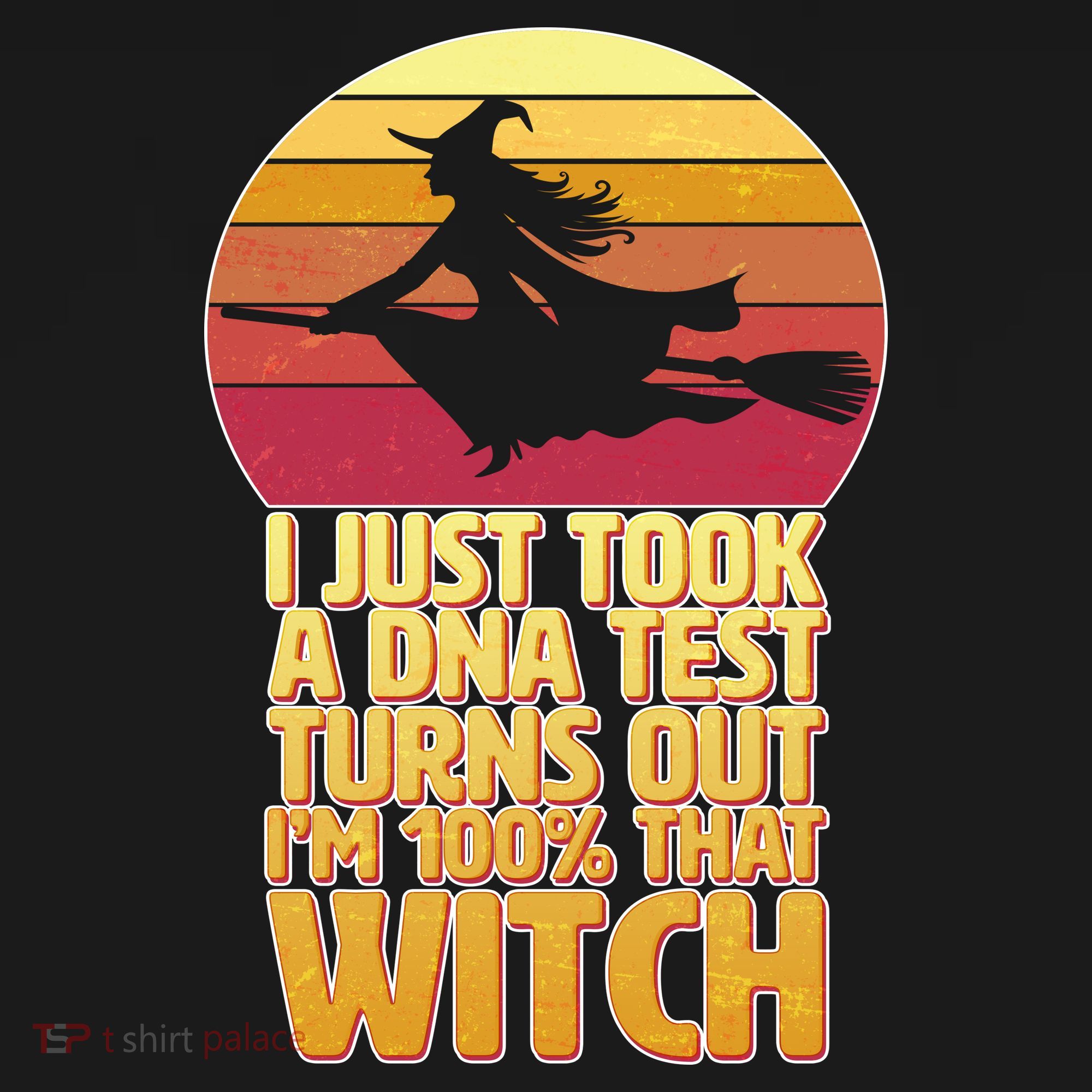 I'm 100 That Witch DNA Test Funny Halloween Long Sleeve Shirt