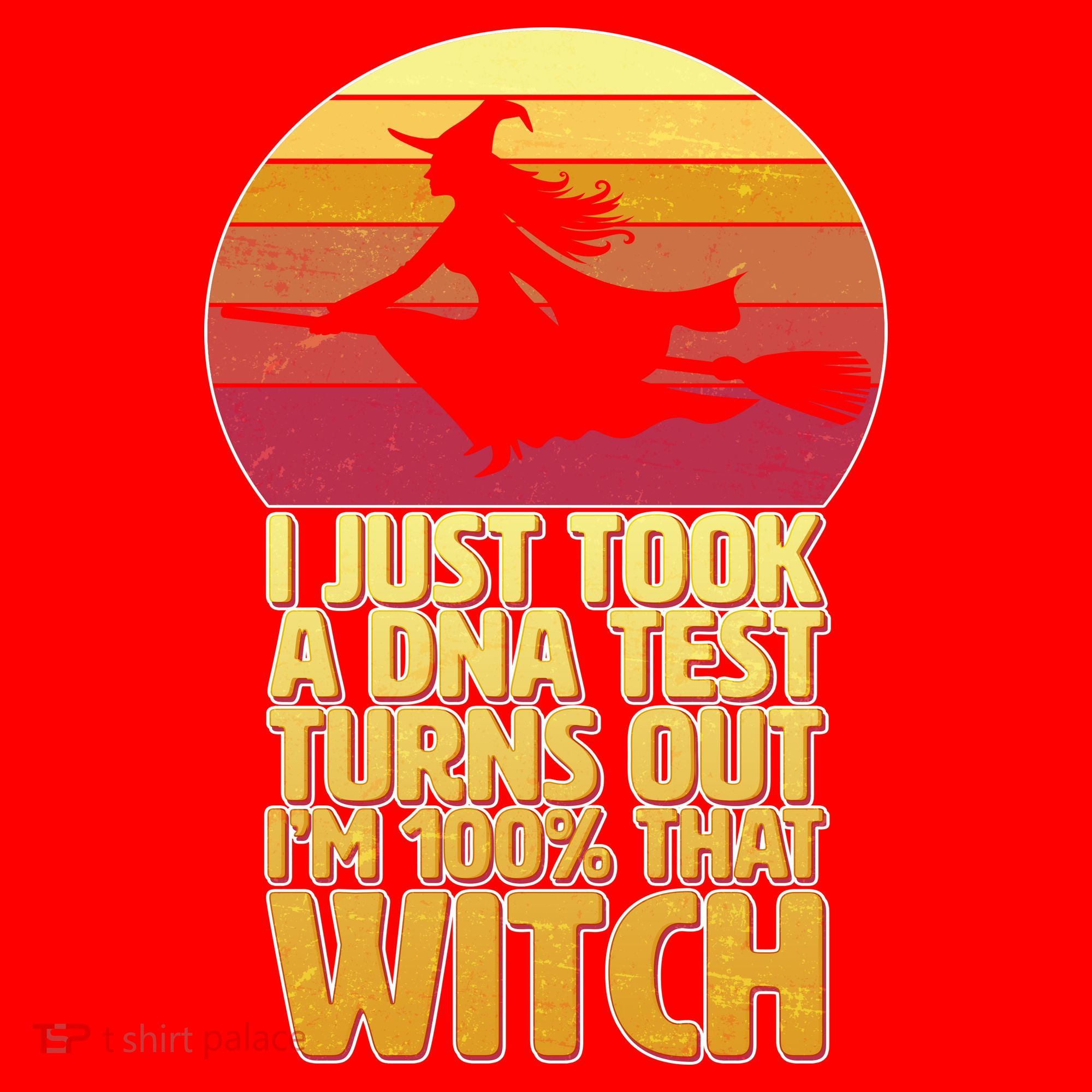 I'm 100 That Witch DNA Test Funny Halloween Santa Hat