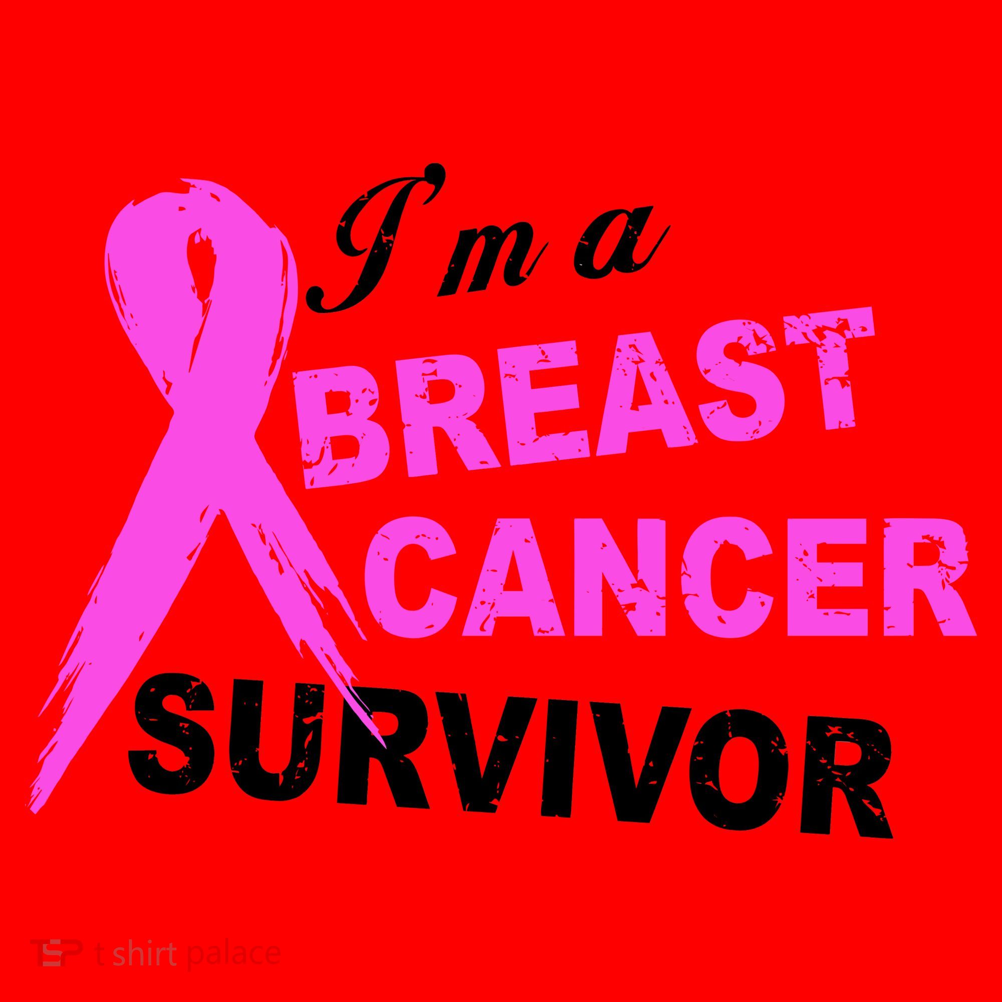 I'm A Breast Cancer Survivor Santa Hat