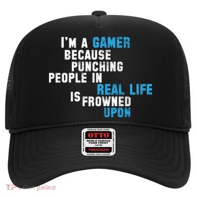 I'm A Gamer Because Punching People Hat