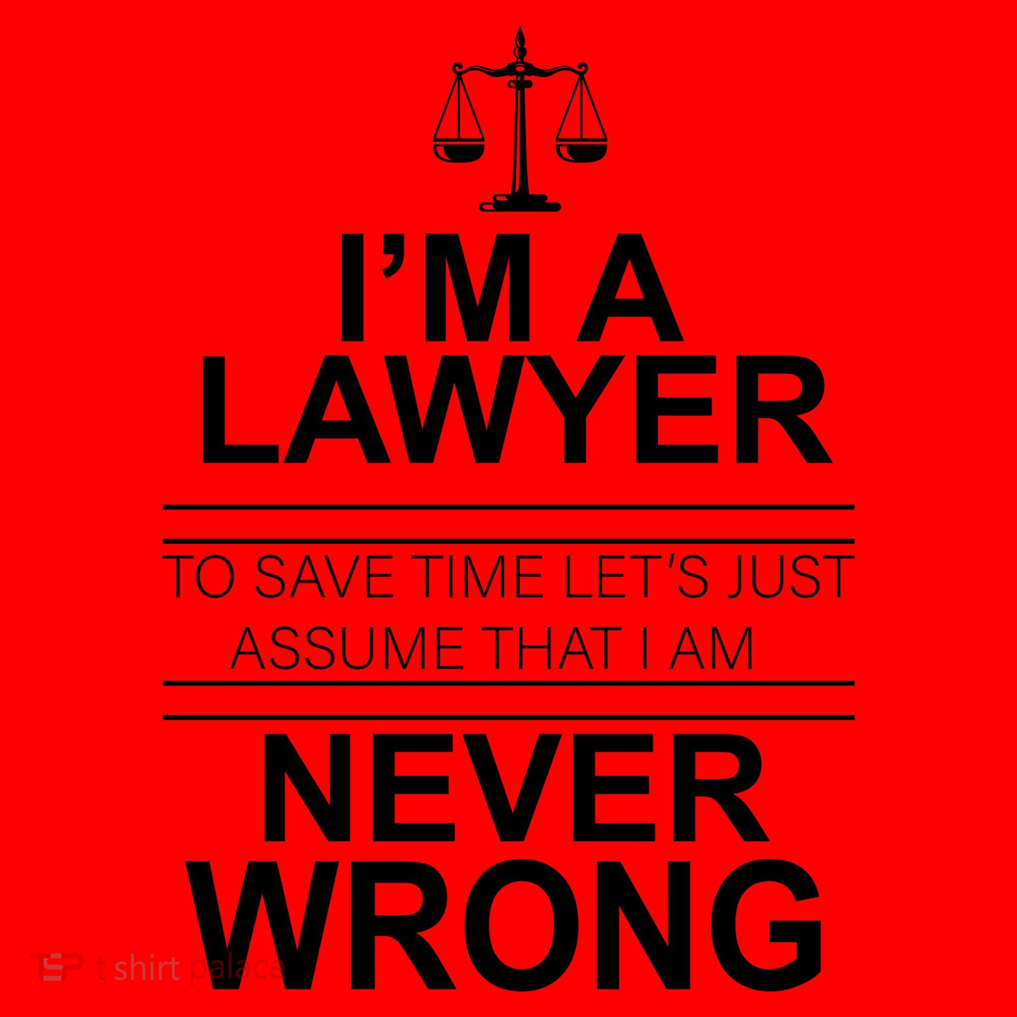 I'm a Lawyer Let's Assume I'm Never Wrong Santa Hat