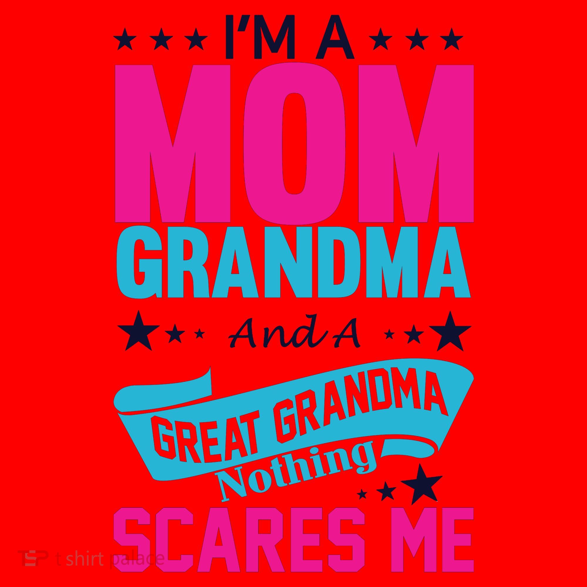 I'm A Mom Grandma And A Great Grandma Funny  Santa Hat