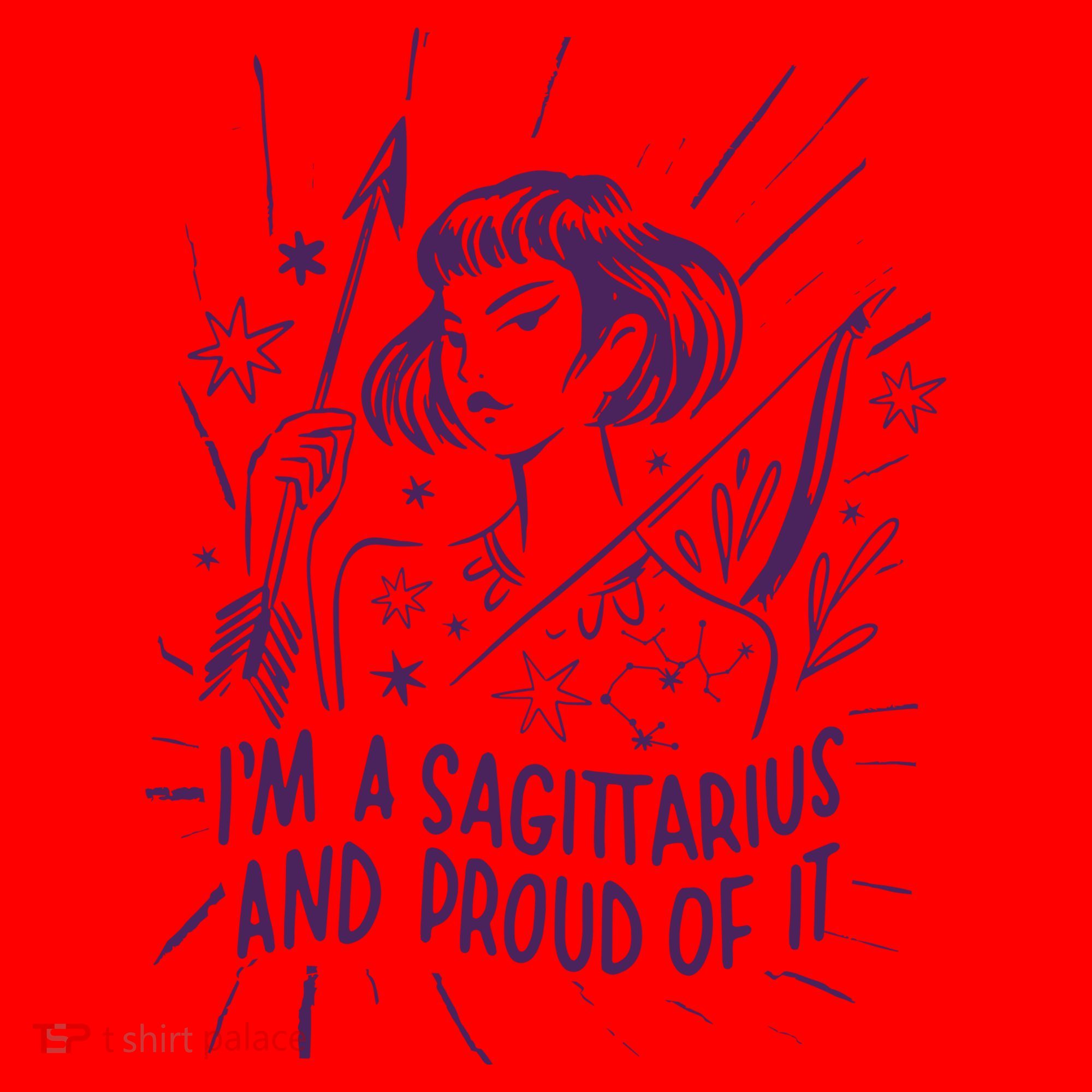 I'm A Sagittarius And Proud Of It Zodiac Birthday Santa Hat