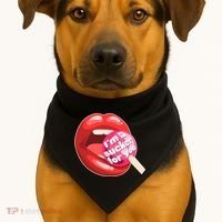 I'm A Sucker For You Funny USA-Made Doggie Bandana thumb 1