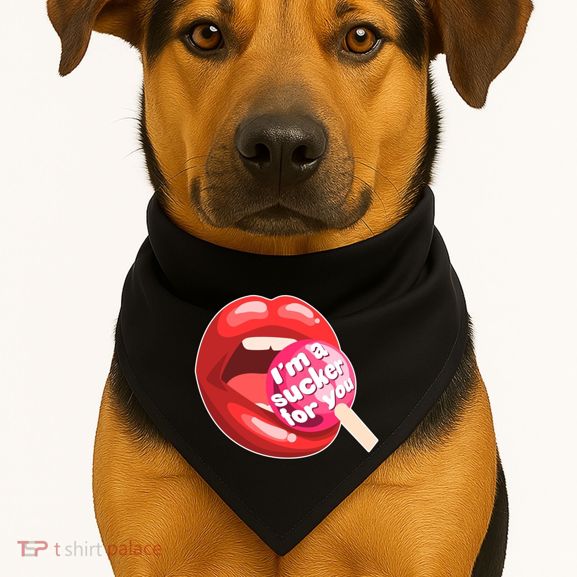 I'm A Sucker For You Funny USA-Made Doggie Bandana