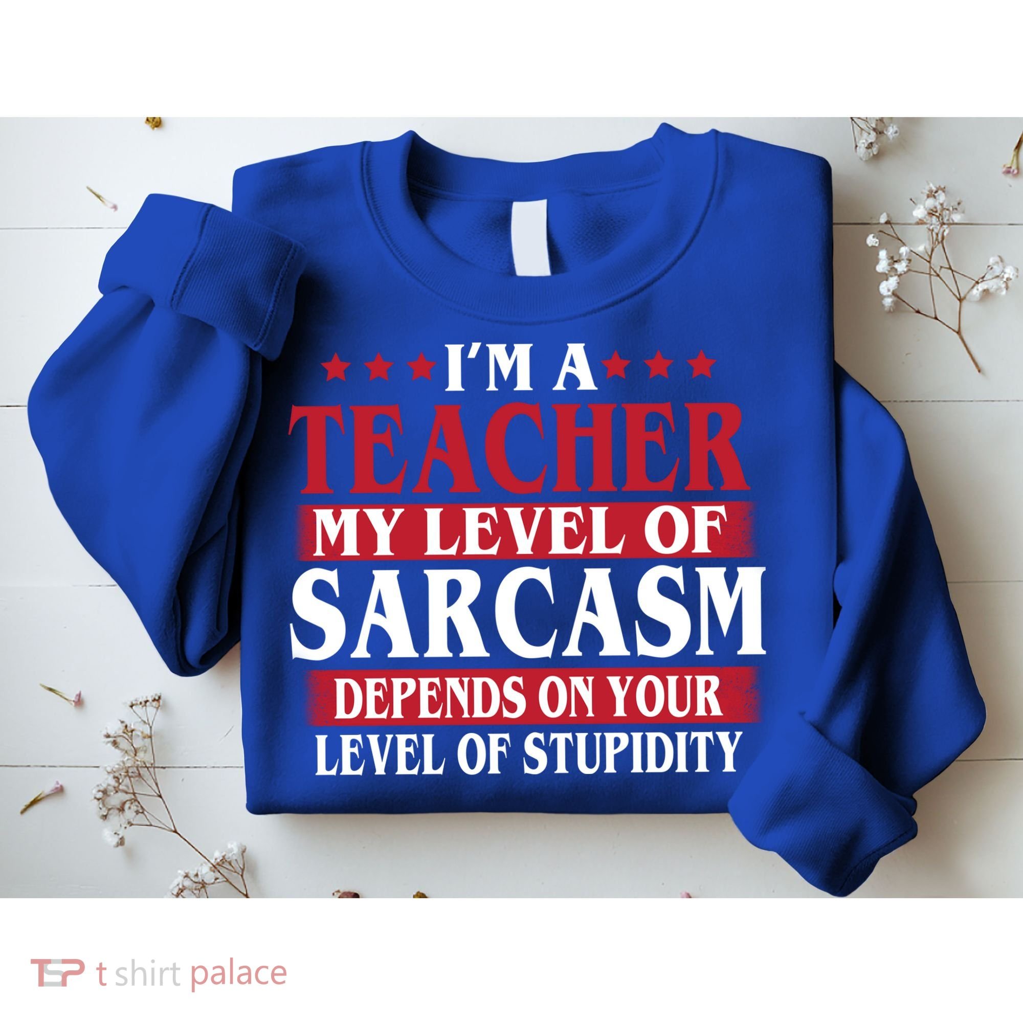 I'm A Teacher My Level of Sarcasm Depends On Your Stupidity   Sweatshirt