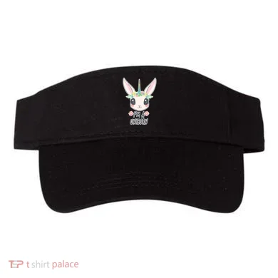 Visor