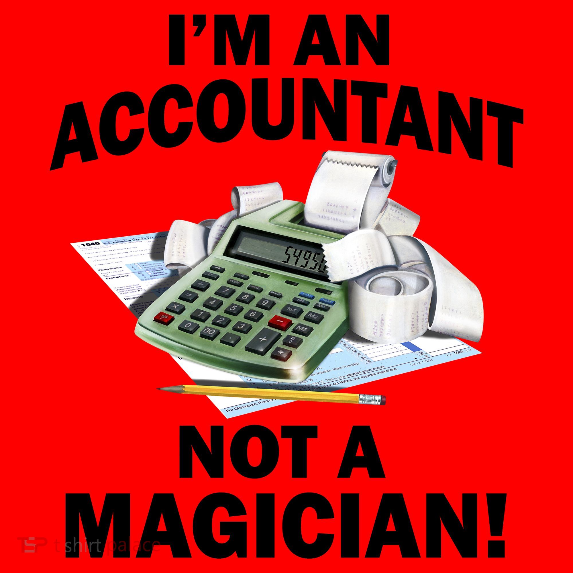 I'm An Accountant Not A Magician Santa Hat
