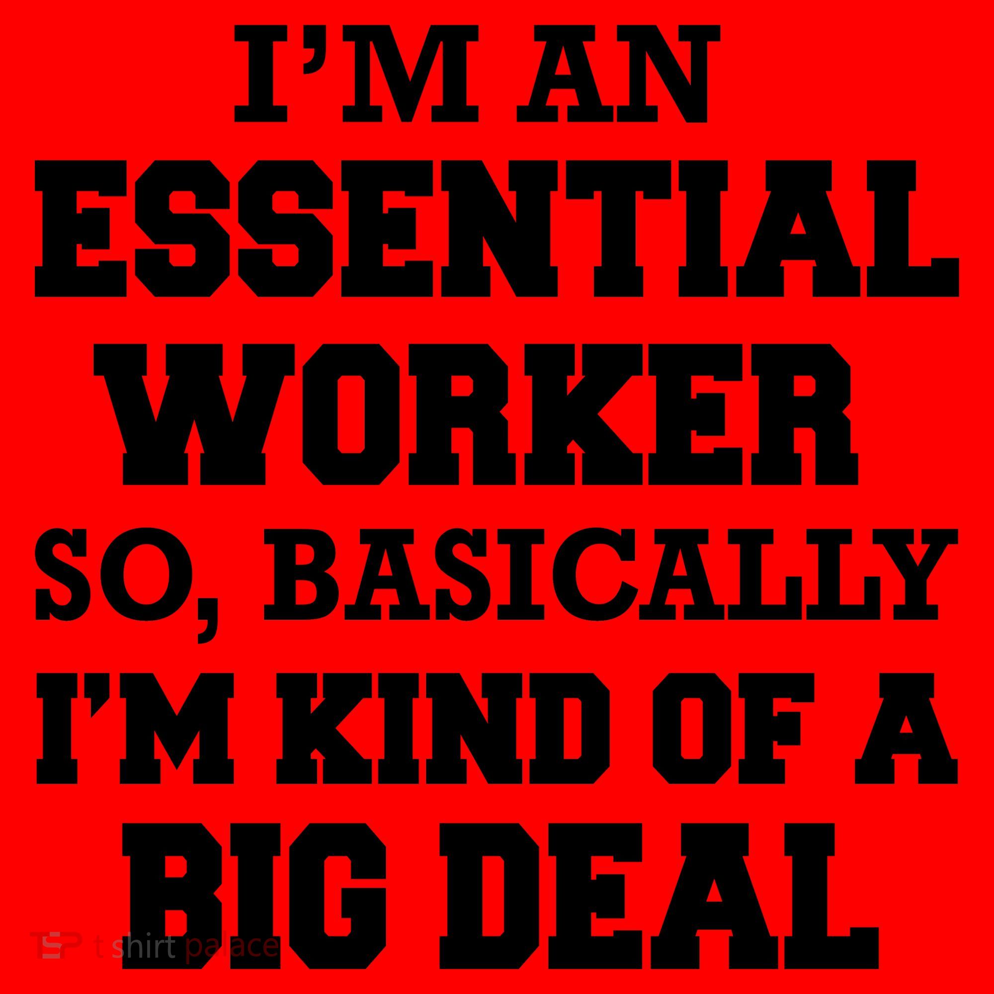 I'm An Essential Worker Kind Of A Big Deal Santa Hat