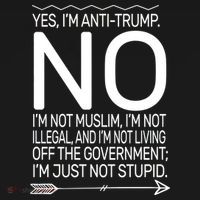 I'm Anti Trump Not Stupid Ornament thumb 1