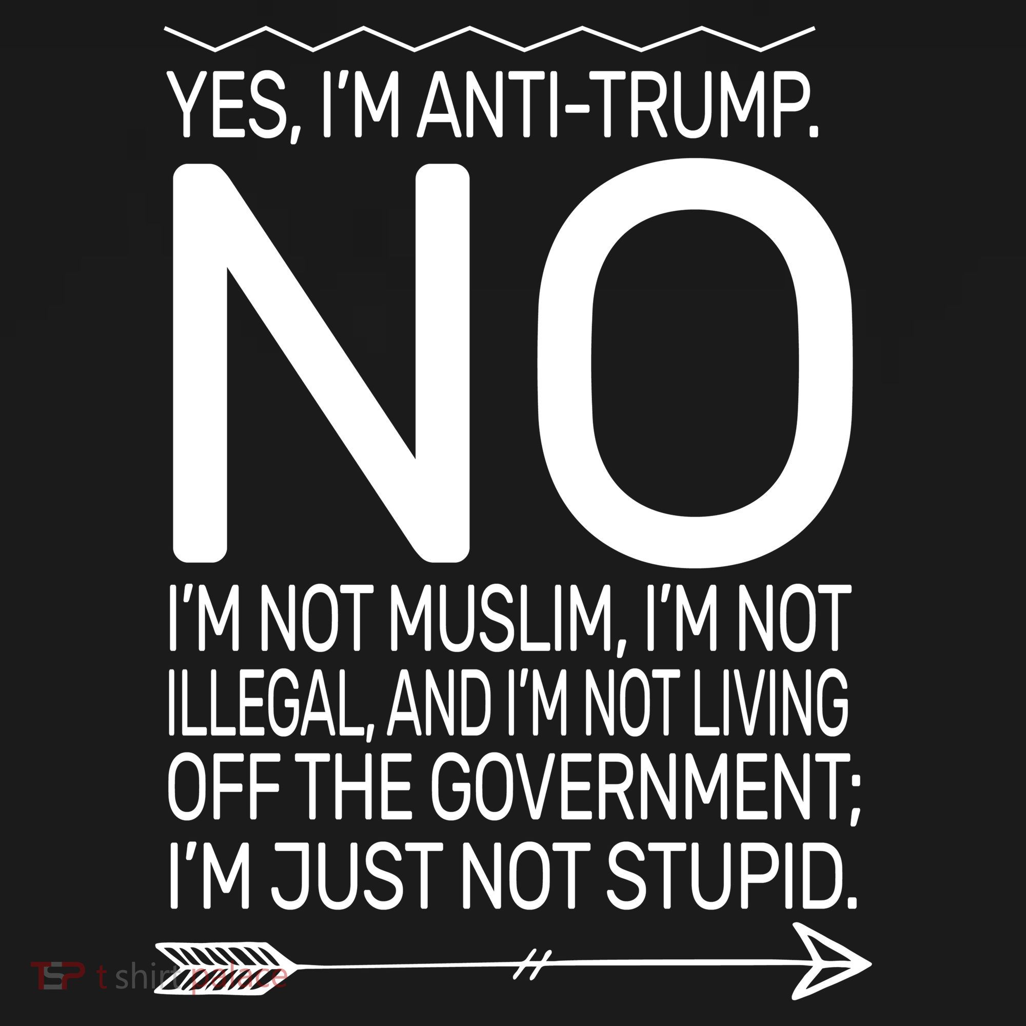 I'm Anti Trump Not Stupid Ornament