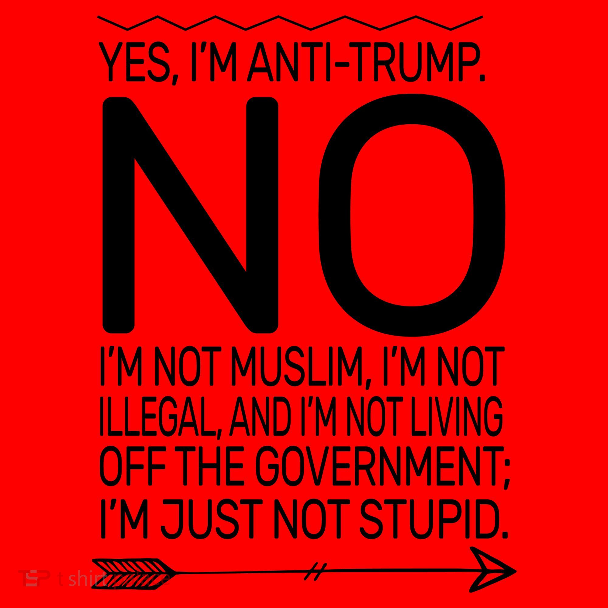 I'm Anti Trump Not Stupid Santa Hat