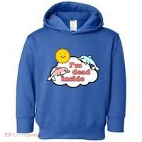 I'm Dead Inside Dolphins Toddler Hoodie thumb 0