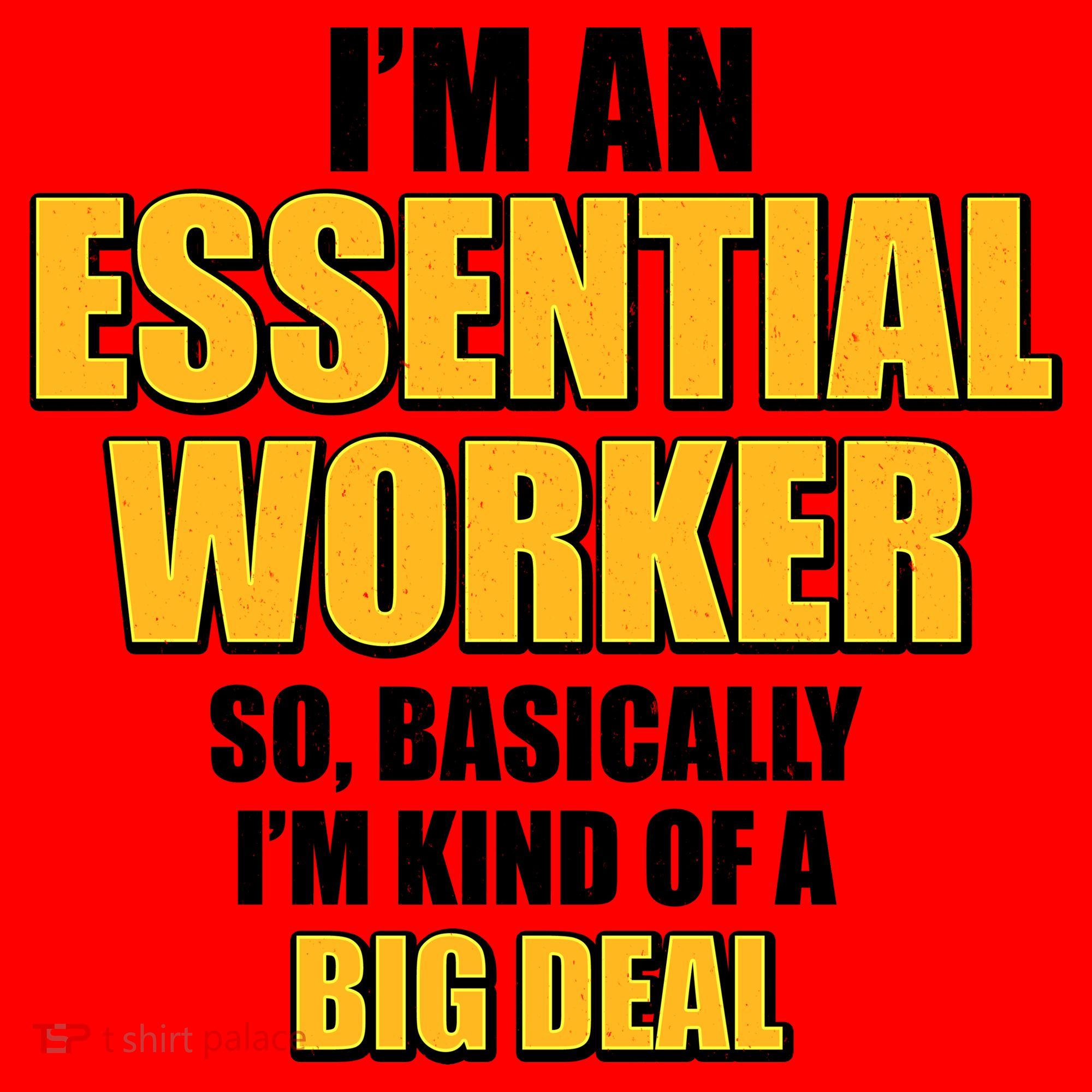 I'm Essential Worker So Basically I'm Kind of A Big Deal Santa Hat