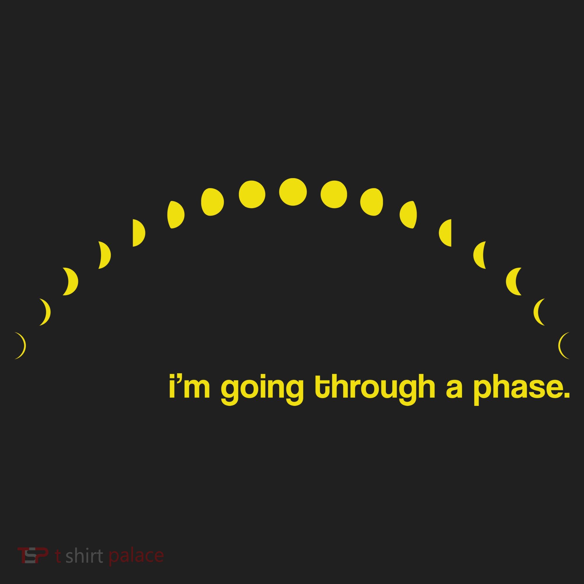 I'm Going Through A Phase Tumbler