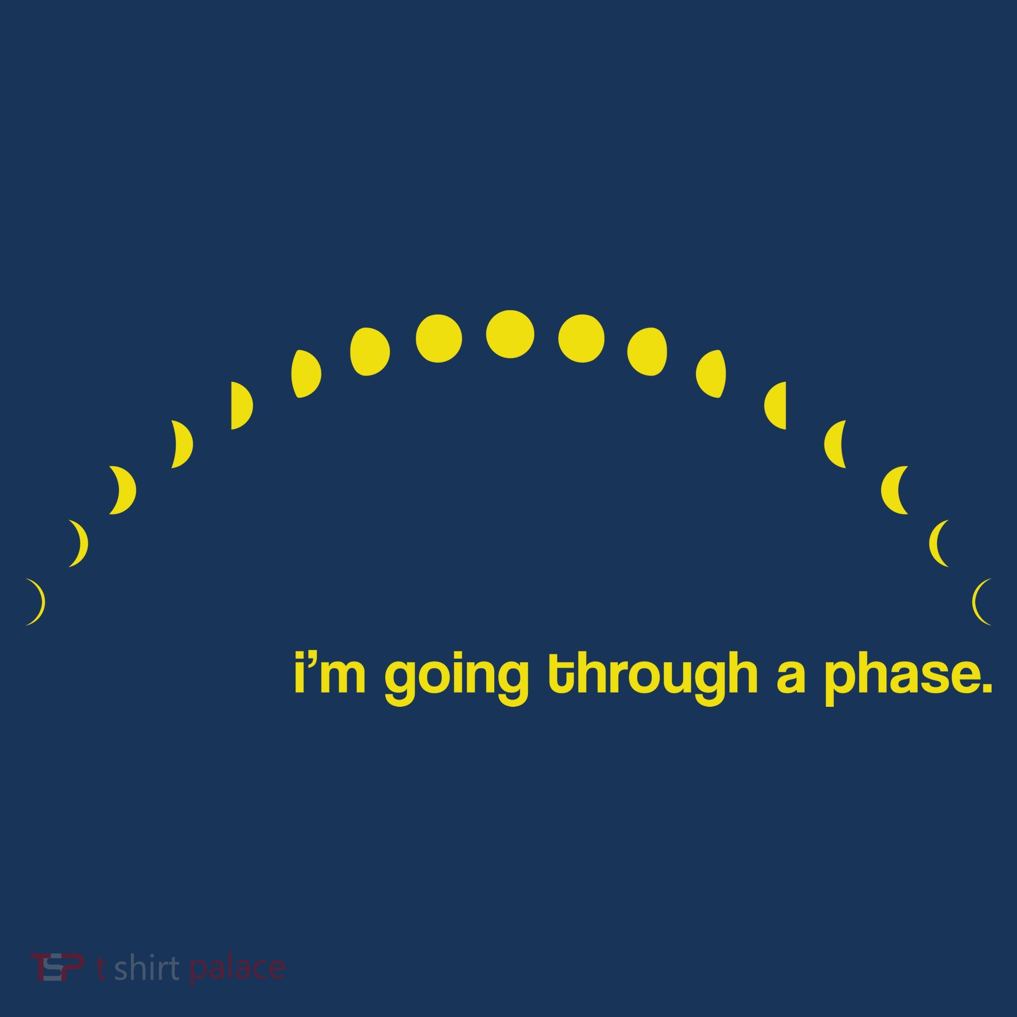 I'm Going Through A Phase Women's T-Shirt