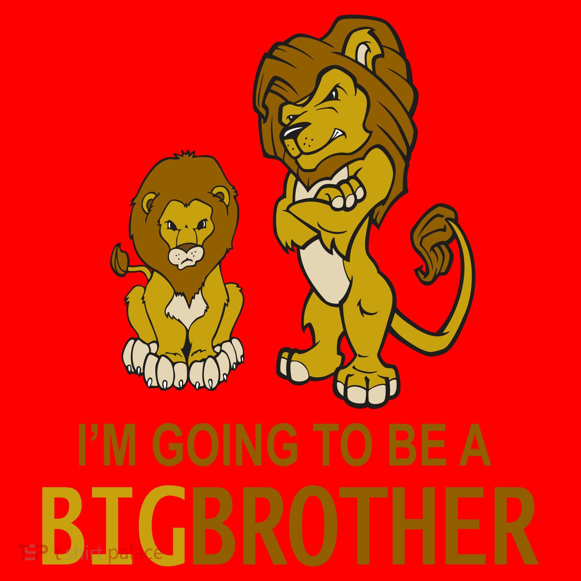 I'm Going To Be A Big Brother Santa Hat