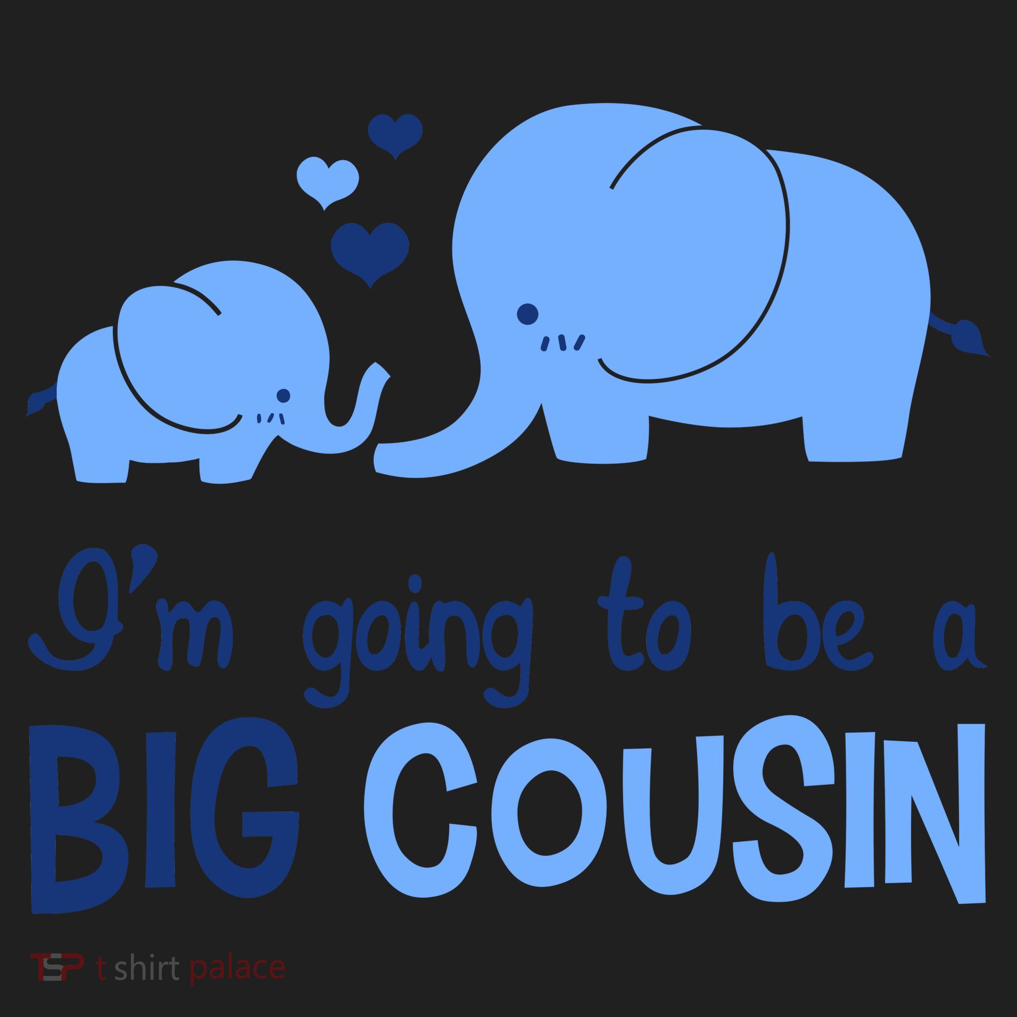 I'm Going To Be A Big Cousin Boy Elephant Women's Sweatshirt