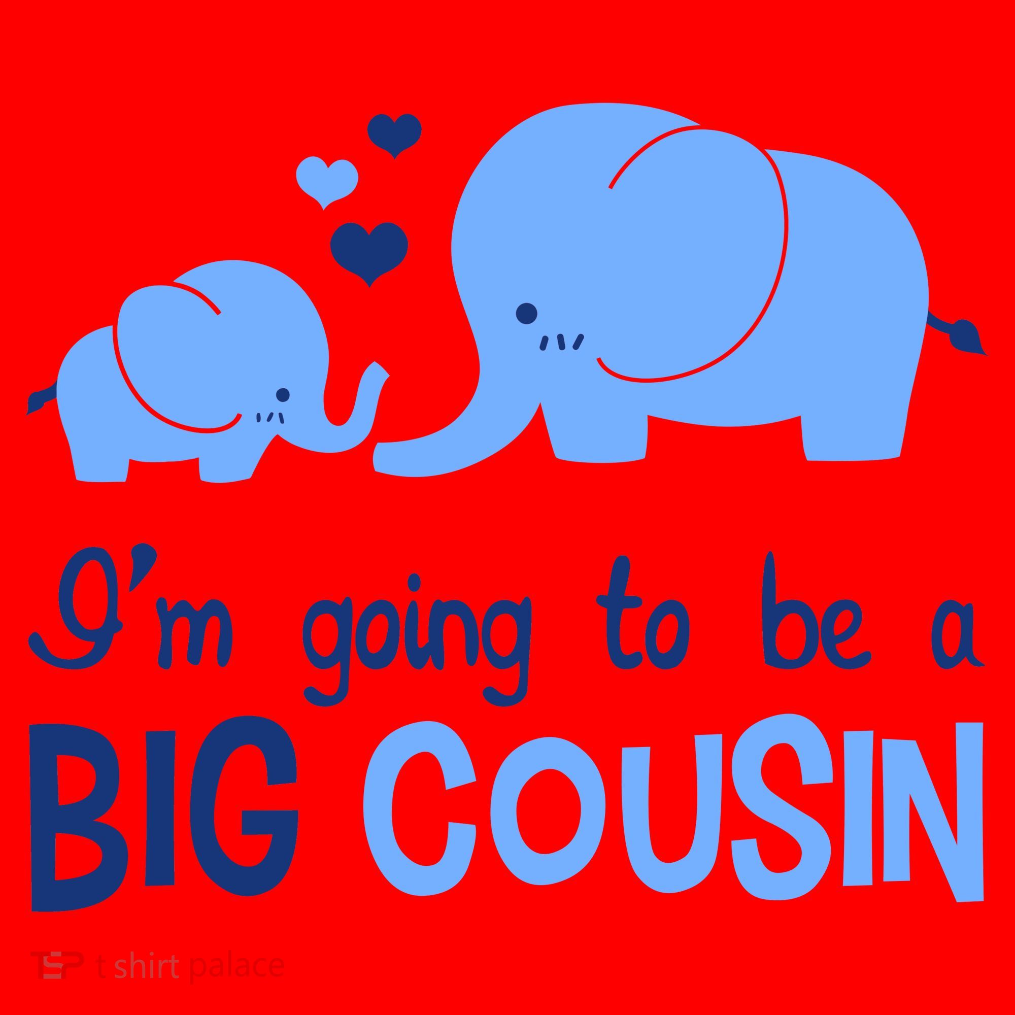 I'm Going To Be A Big Cousin Boy Elephant Santa Hat
