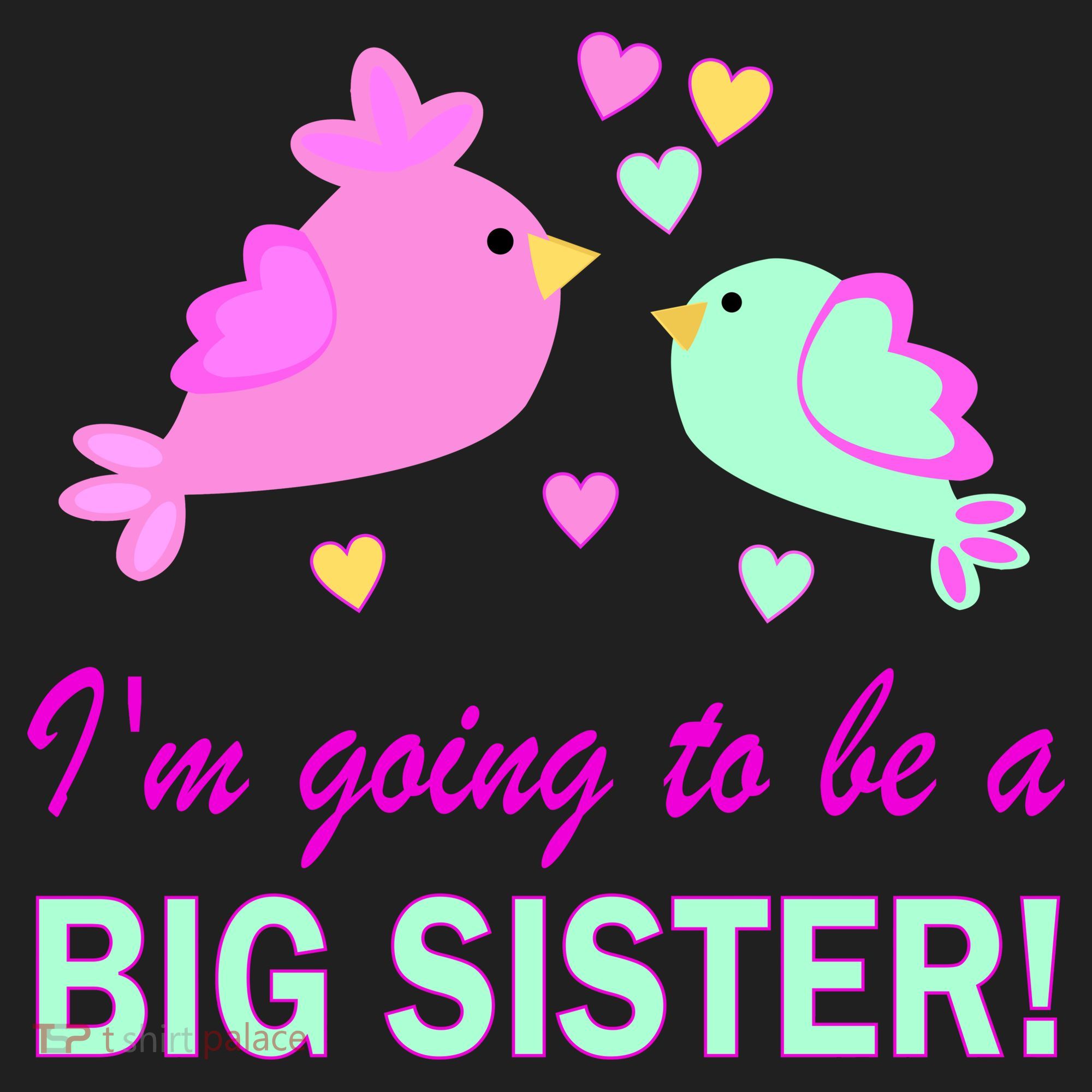 I'm Going to Be Big Sister Bird Hat