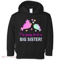 I'm Going to Be Big Sister Bird Toddler Hoodie thumb 0