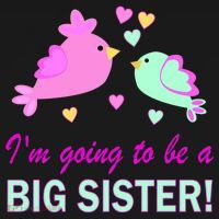 I'm Going to Be Big Sister Bird Toddler Hoodie thumb 2