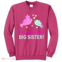 I'm Going to Be Big Sister Bird Sweatshirt thumb 0