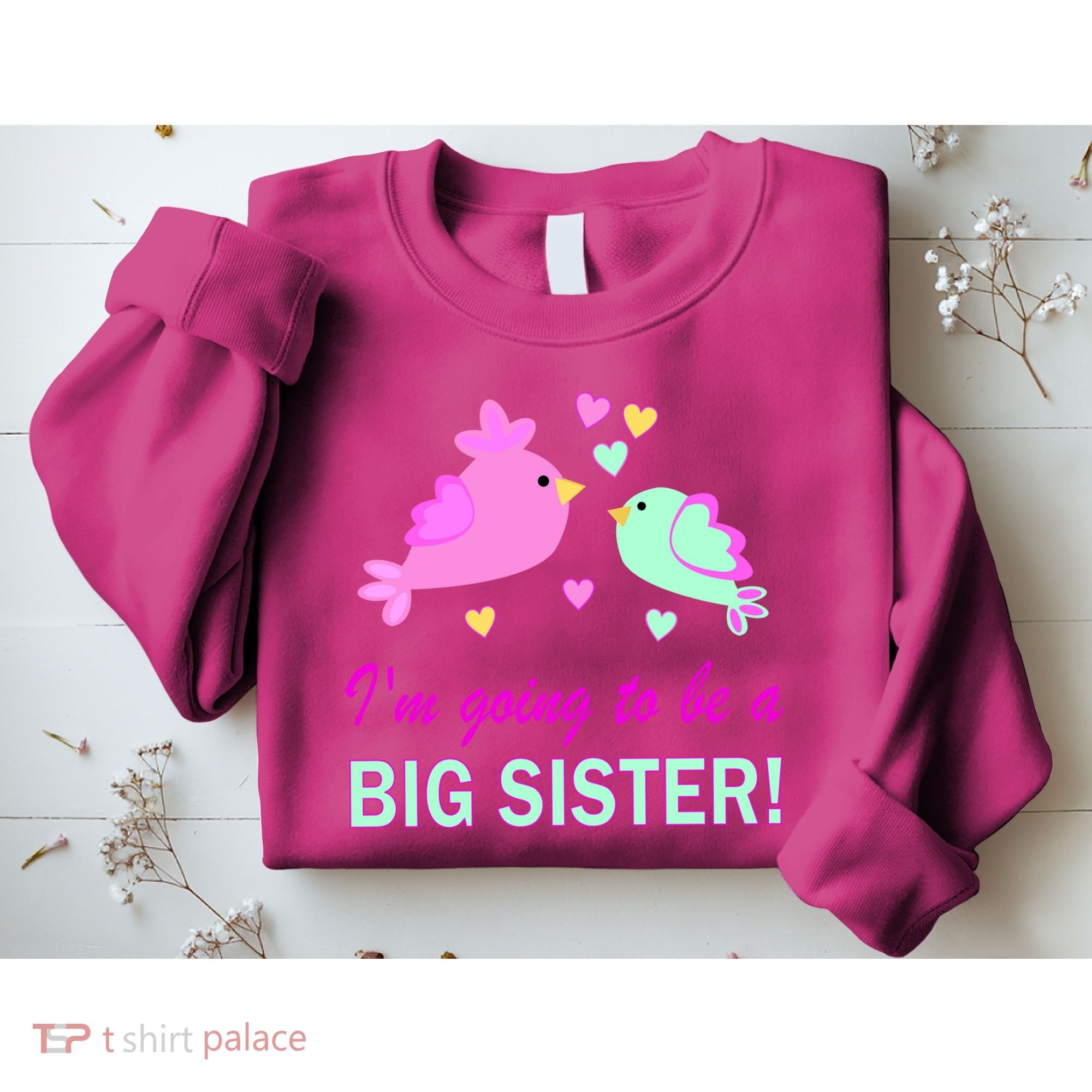 I'm Going to Be Big Sister Bird Sweatshirt