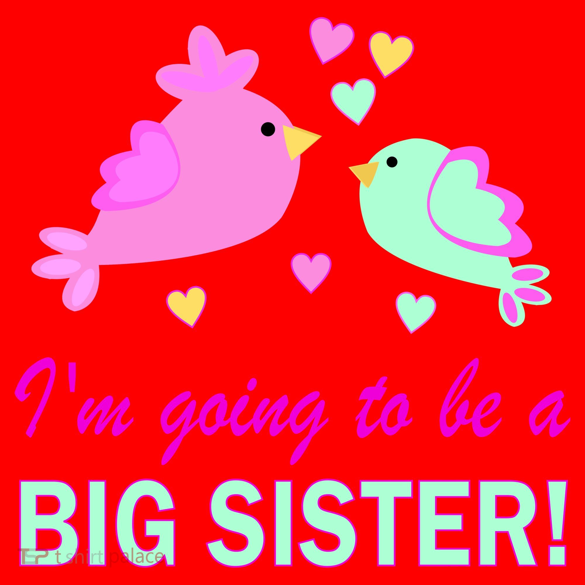 I'm Going to Be Big Sister Bird Santa Hat