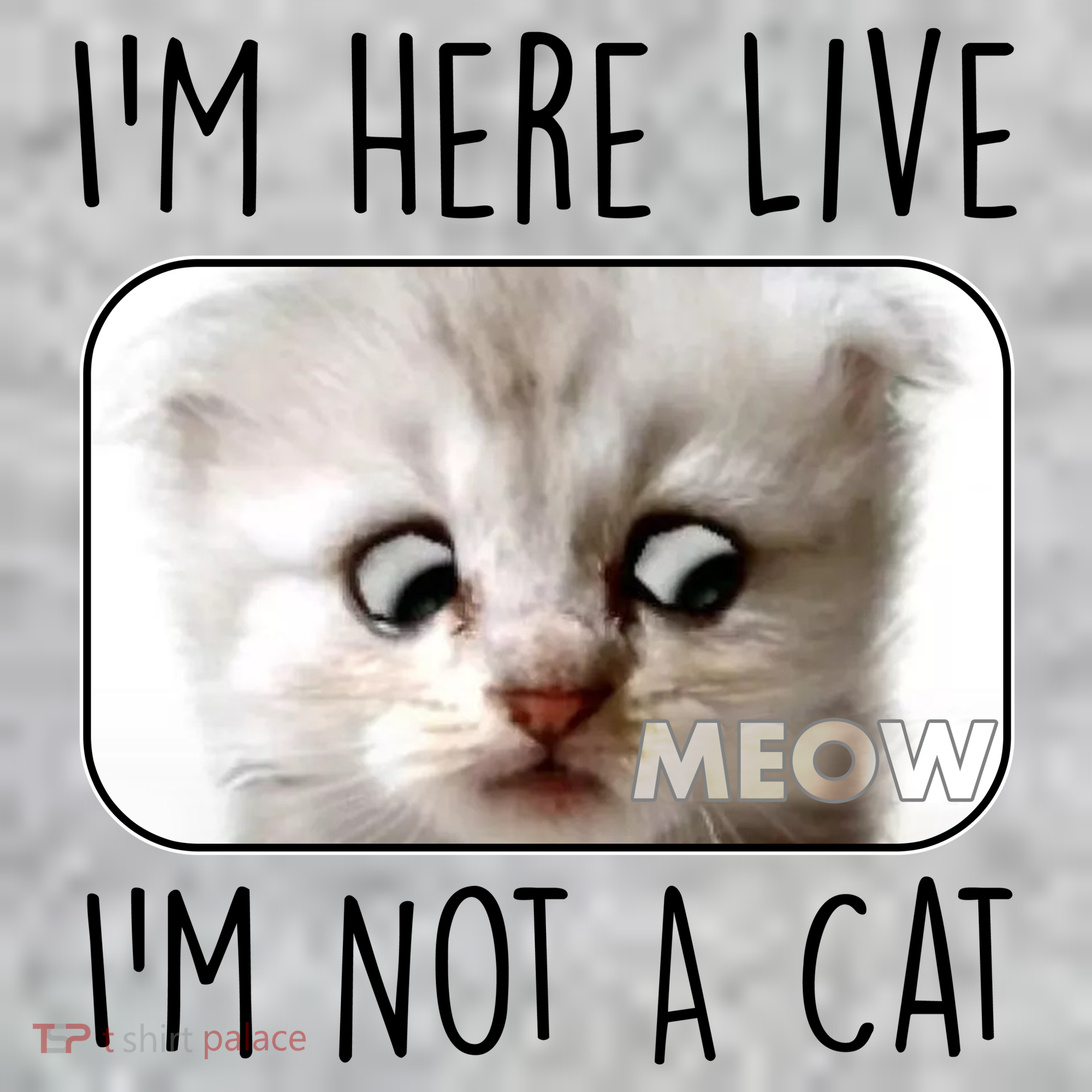 I'm Here Live I'm Not A Cat Zoom Lawyer Cat Meme The Baniff Cuffed Pom Beanie